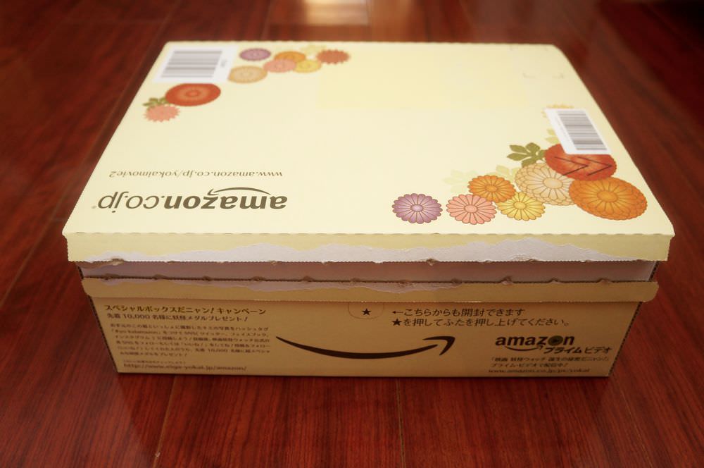 2016-new-year-amazon-yokai-cardboard-box-00003